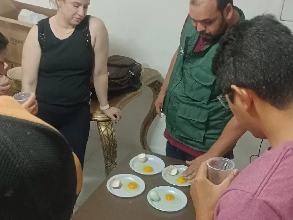 Foto