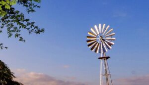 Secretaria de Agricultura de Monteiro envia equipes para realizar atendimentos após festejos carnavalescos