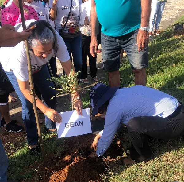 Em Patos, mais 30 mudas são plantadas na Alça Sudeste em homenagem aos filhos das “Mães de Pietá”