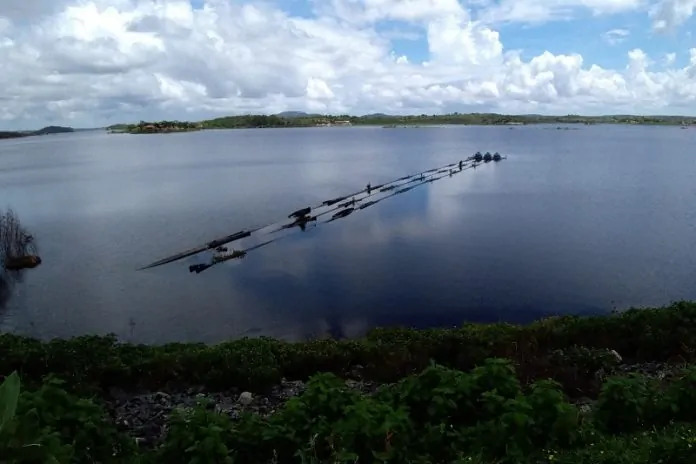 Quem celebrou as fortes chuvas registradas na região do Cariri paraibano, provocando cheias no Rio Paraíba, o açude Epitácio Pessoa, localizado em Boqueirão, foi o senador Efraim Filho (União Brasil). Através das redes sociais, Efraim escreveu que as chuvas simbolizam a “fonte de vida para os nosso