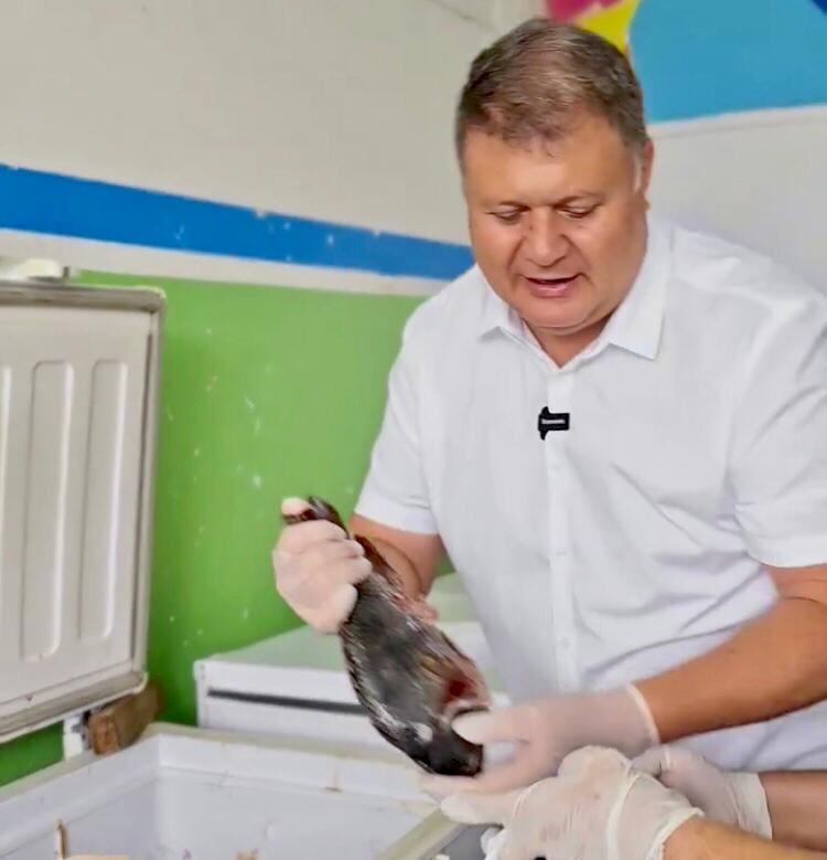 Prefeitura de Boa Vista mantem a tradição e distribui cerca de 4 toneladas de peixes para famílias carentes na Semana Santa