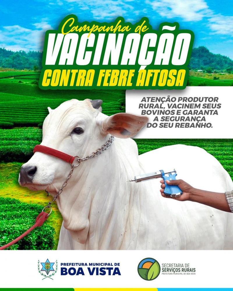 Criadores de Boa Vista recebem gratuitamente doses para imunizar o rebanho bovino