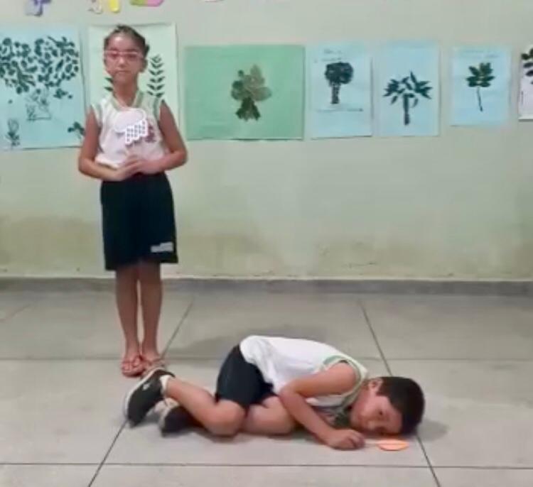 Escola Municipal de São Jose do Bonfim realiza exposição de arvores em Comemoração ao Dia da Árvore