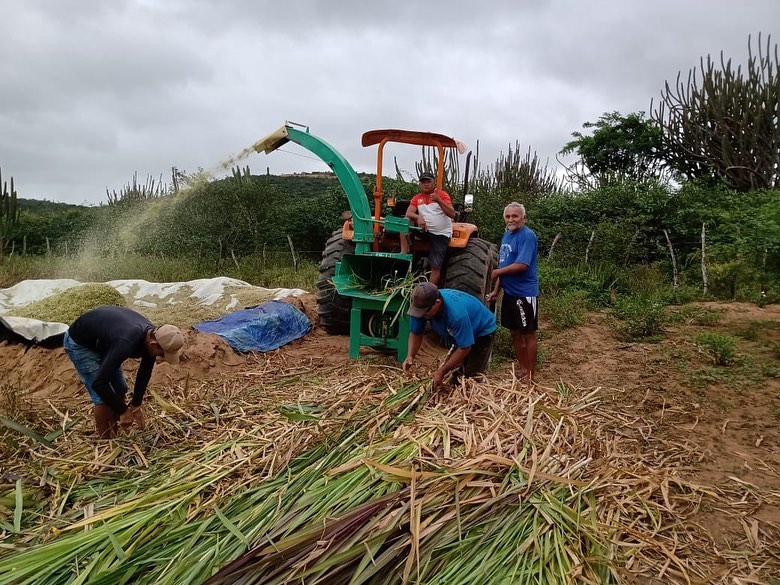 Prefeitura de Barra de Santa Rosa inicia o Programa de Silagem na Zona Rural