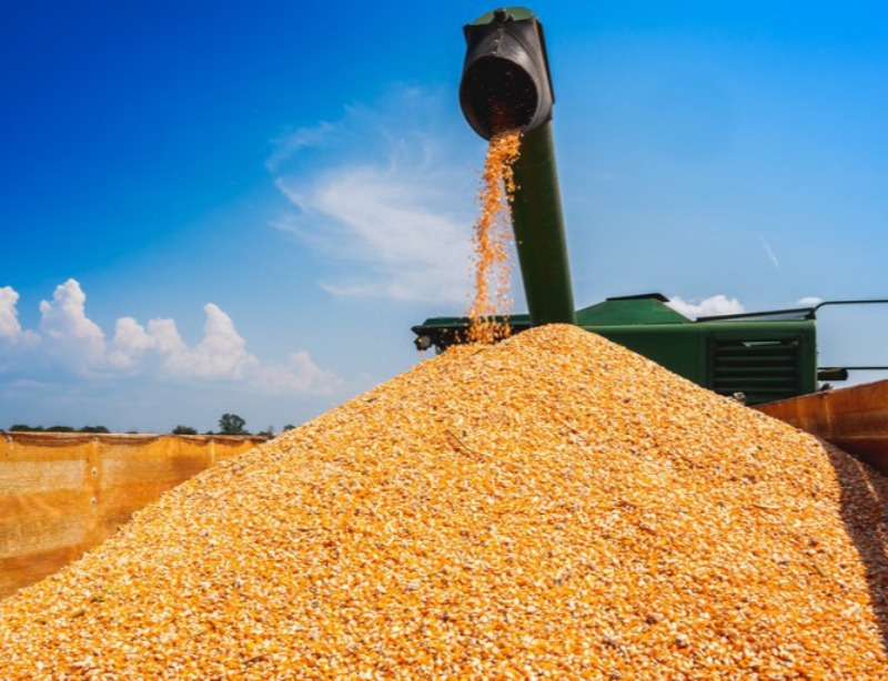  Prefeitura de Quixaba disponibiliza transporte para produtores comprarem milho a preço baixo na Conab