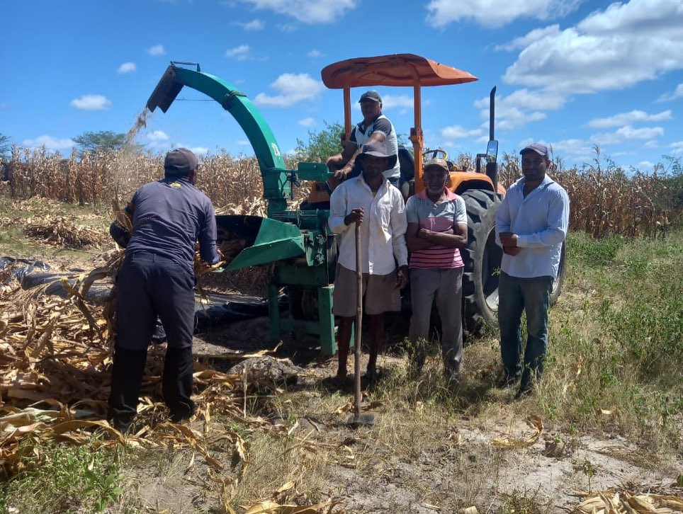 Prefeitura de Barra de Santa Rosa intensifica trabalho de produção de silagem