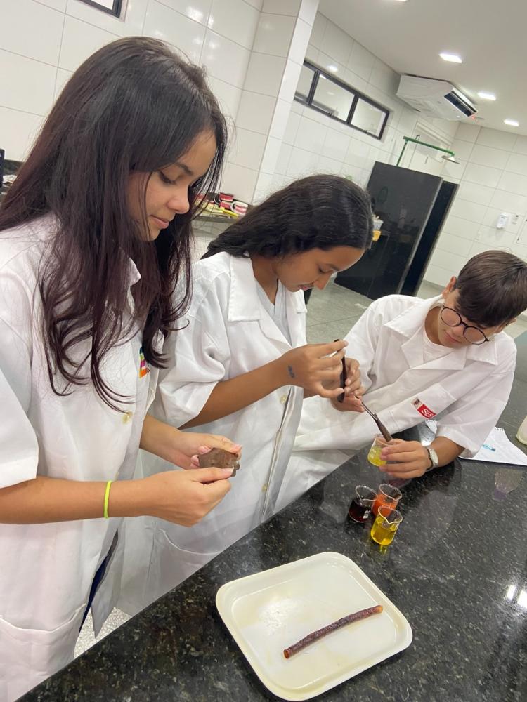 Conheça o cascanudo: alunos do SESI-PB criam canudo biodegradável de casca de banana