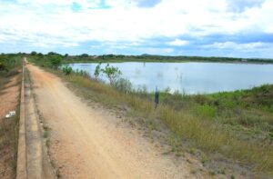 Monteiro perdeu 100% da produção da lavoura, de acordo com a Prefeitura