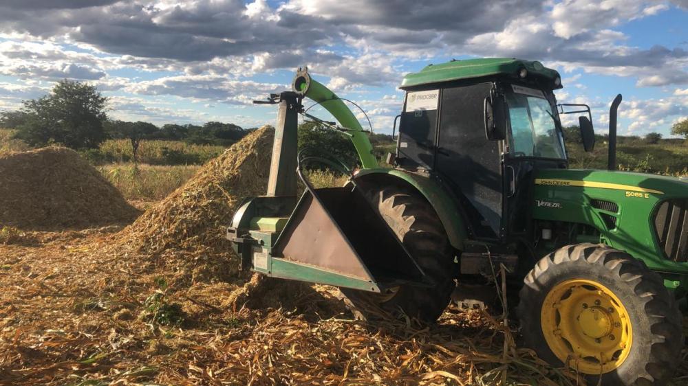 Secretaria de Agricultura de Monteiro prossegue com programa de produção de silagem