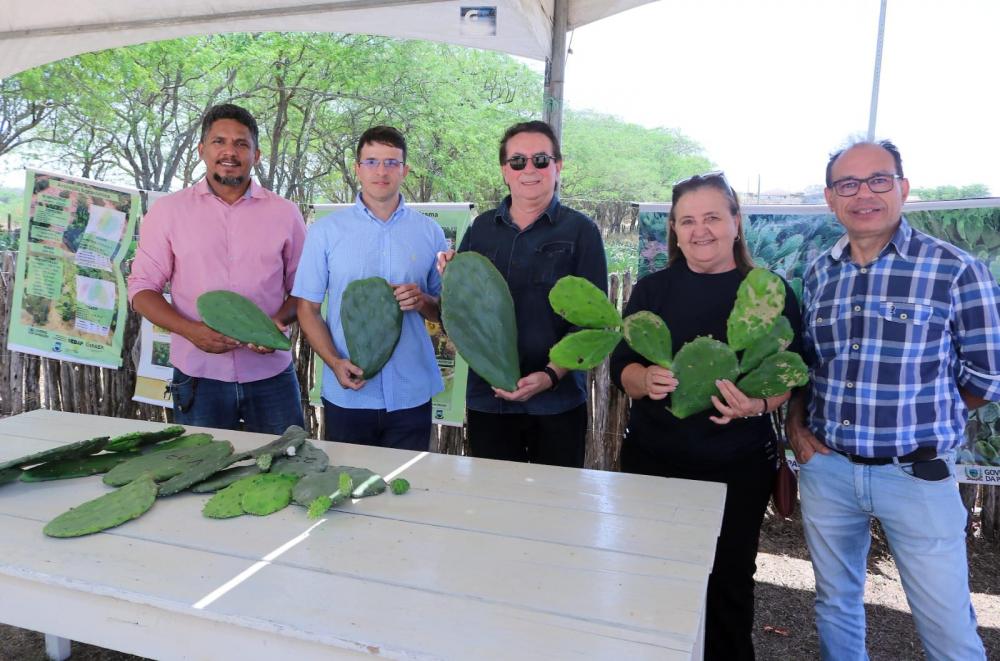 Prefeitura de Soledade realiza o II Dia de Campo na Estação Experimental da Pendência no município