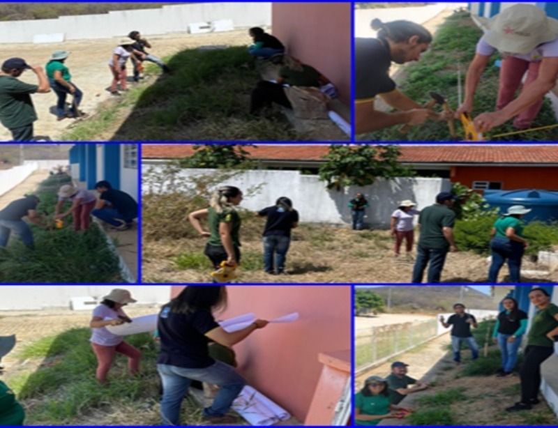 Prefeitura de São Jose do Bonfim realiza mais uma etapa do Projeto de Arborização no município