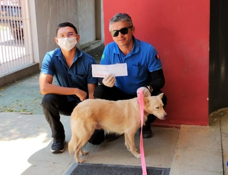 Em Quixaba, campanha de vacinação Antirrábica 2023 começa na próxima segunda (18); veja dias e áreas de vacinação