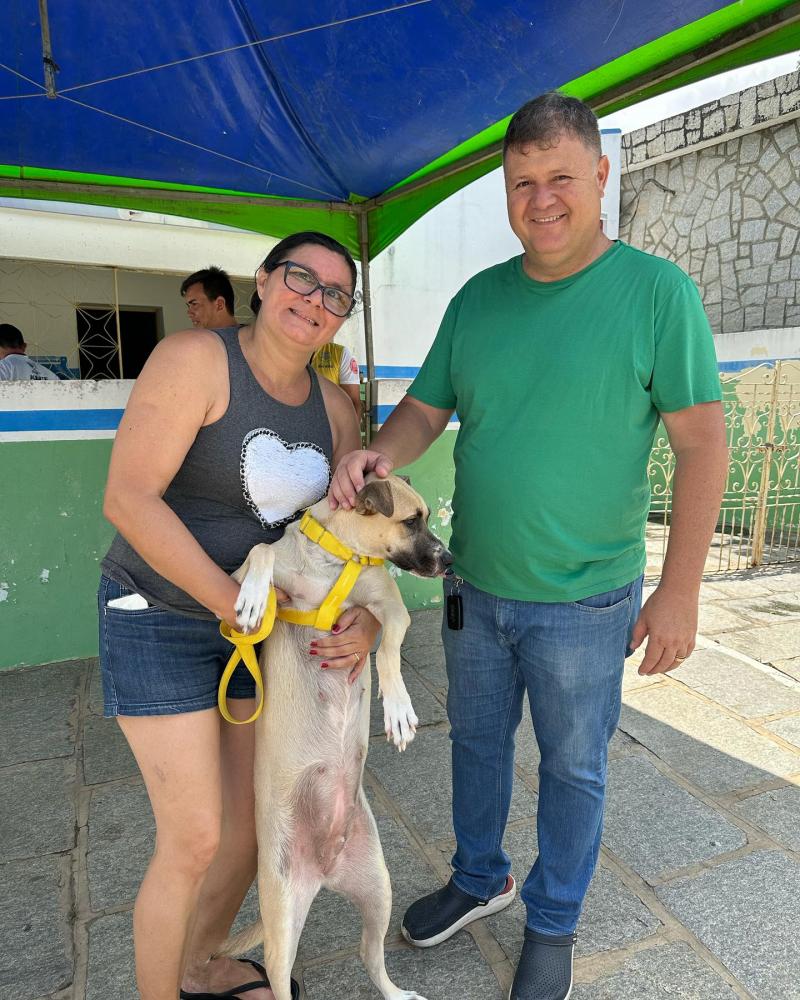 Prefeito de Boa Vista participa da Campanha do Dia D de vacinação animal no município