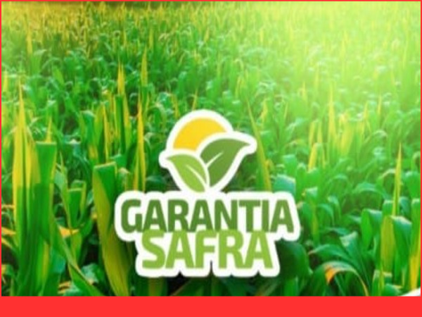 Prefeitura de Bom Jesus inicia inscrições para o Garantia Safra 2023/24; confira o cronograma