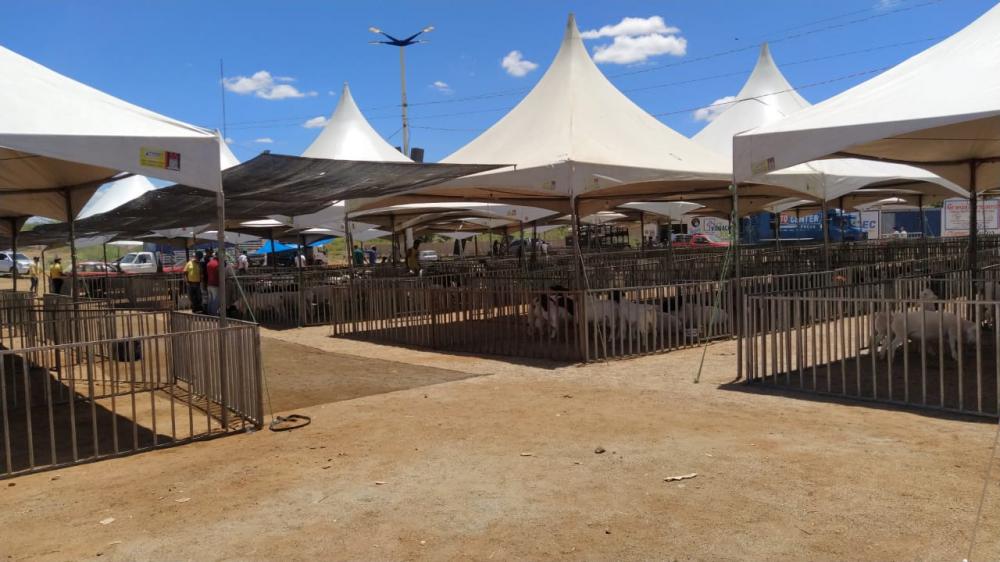 Expo Monteiro e parceiros oferecem palestras durante o evento, participe; evento abre nesta quinta e segue até sábado (12)