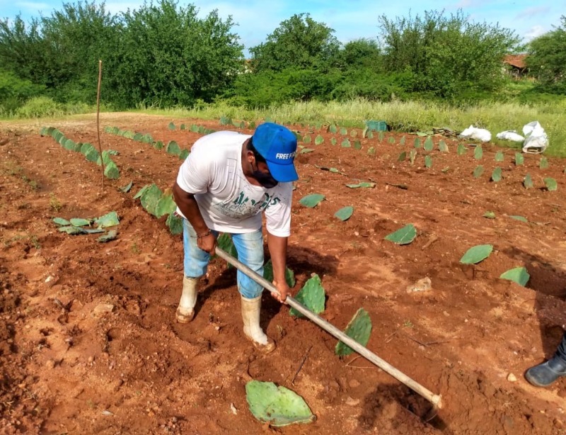 Prefeitura de Quixaba informa que os boletos do Garantia Safra já estão disponíveis