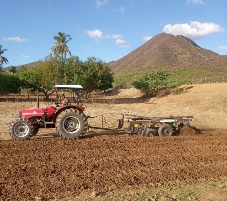 Secretaria de Agricultura de Quixaba deu início aos primeiros cortes de terras em 2024