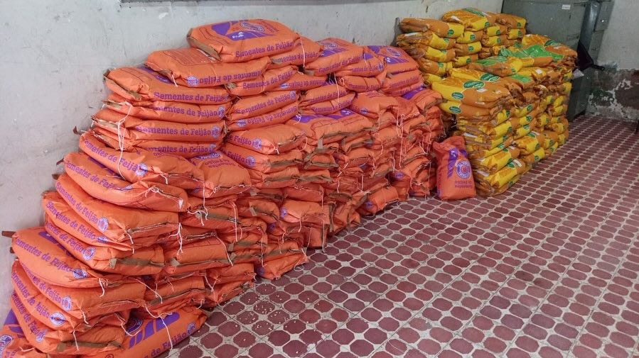 Prefeitura de Barra de Santa Rosa recebe sementes para agricultores do município