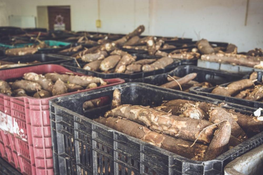 Prefeitura de João Pessoa publica edital para seleção de agricultores familiares do Programa de Aquisição de Alimentos