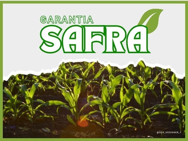 Agricultores de Bom Jesus serão contemplados com o Garantia Safra 2022/23