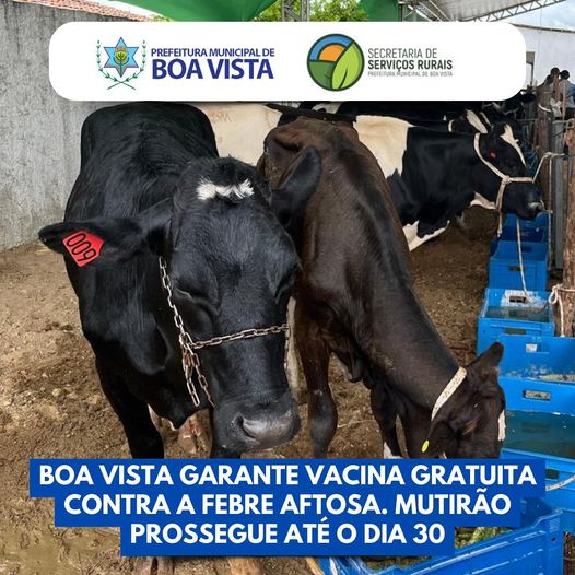 Boa Vista garante vacina gratuita contra a febre aftosa. Mutirão vai até o dia 30
