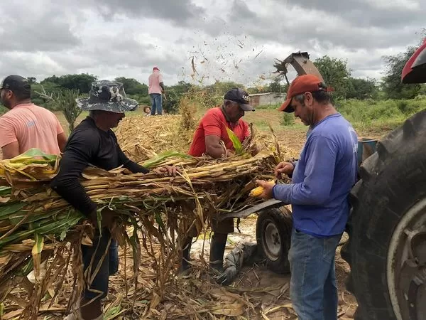 Prefeitura de Boa Vista Intensifica Serviço de Silagem para Produtores Rurais