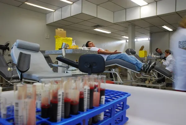 Dia Mundial do Doador de Sangue: saiba mais sobre a doação regular