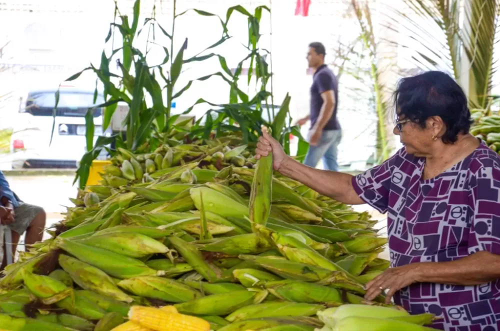 8ª edição do Festival do Milho da Cecaf começa nesta quinta-feira