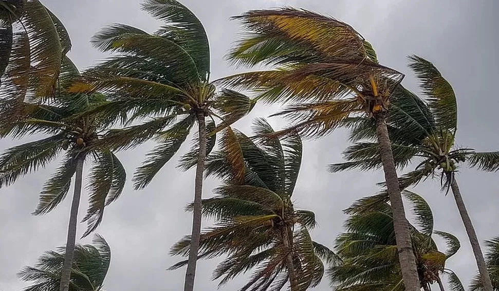 Inmet emite alerta de vendaval para cidades na Paraíba (Foto: Divulgação)