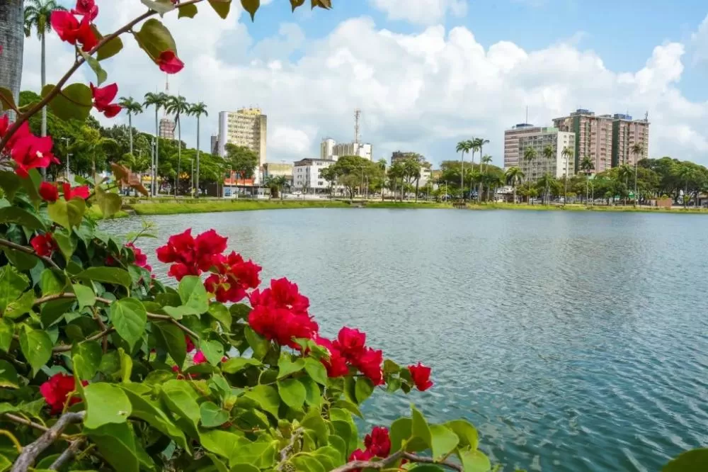 Chegada da primavera deve trazer uma pausa no tempo seco e nas queimadas