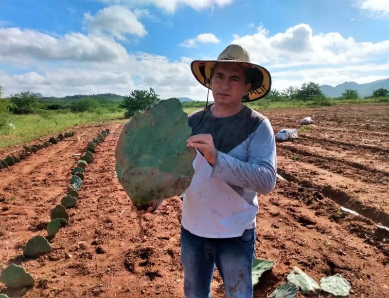 Prefeitura de Quixaba abre inscrições para o Garantia-Safra 2024/2025