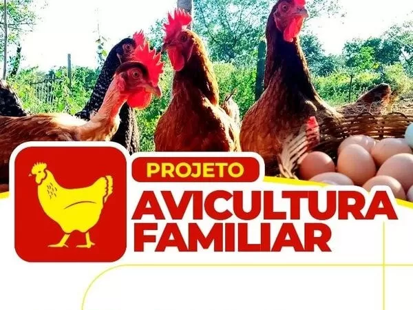 Prefeitura de Bom Jesus lança projeto Avicultura Familiar com recursos próprios do município