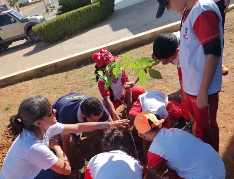 Quixaba conclui projeto 'Sementes do Amanhã' com plantio e trilha