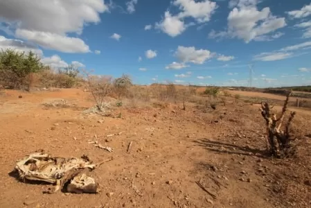 Seca deve aumentar no Nordeste nos próximos meses, alerta INMET