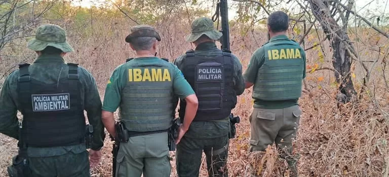 Ibama abre concurso com 3 vagas para a Paraíba e salários de quase R$ 10 mil