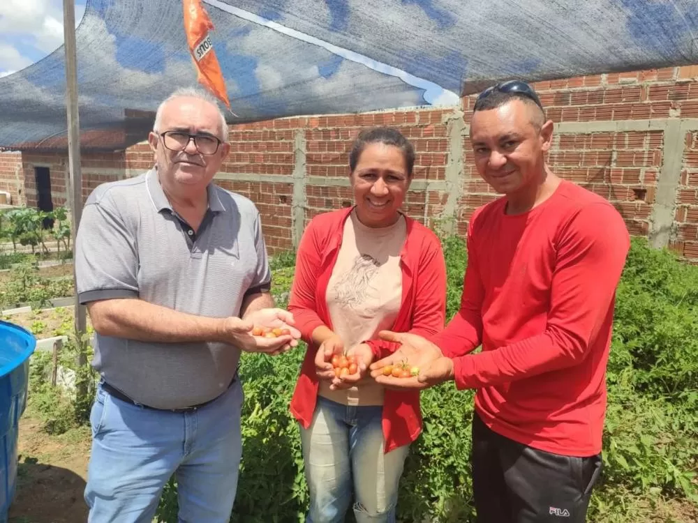 Soledade fortalece produção agrícola com visita técnica a produtores de hortaliças