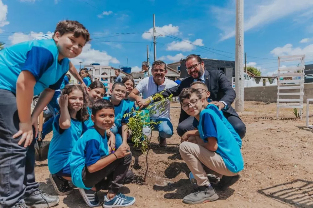 Prefeitura de Boa Vista realiza plantio de árvores nativas em parceria com Ministério Público