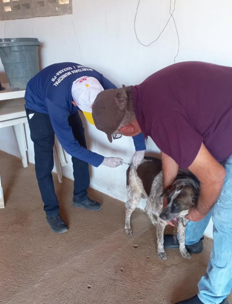 Quixaba inicia campanha de vacinação antirrábica 2025 para cães e gatos