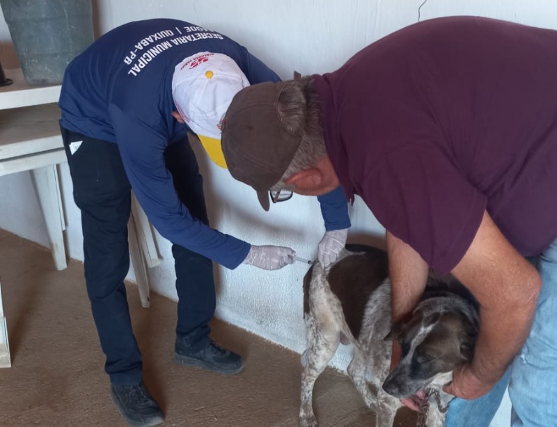 Saúde de Quixaba segue com campanha antirrábica até este sábado (27)