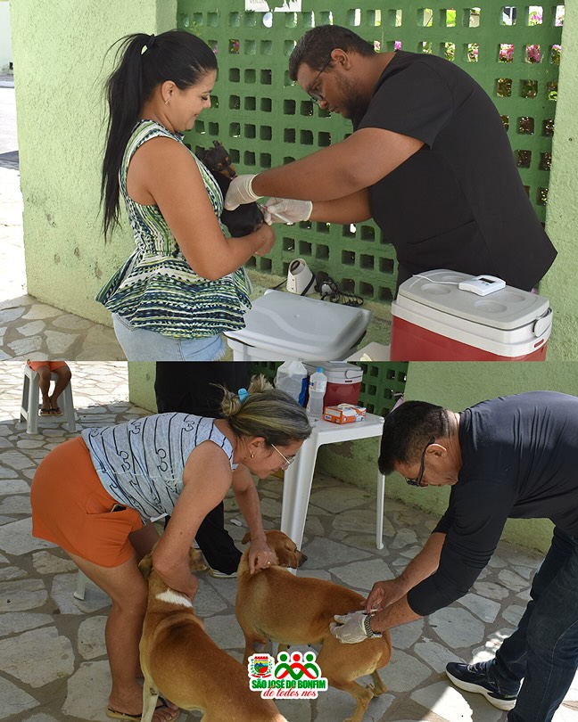 São José do Bonfim realiza vacinação antirrábica para pets