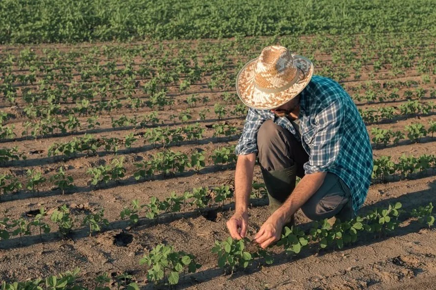 Zabelê inicia regularização do CAF e inscrições do Garantia Safra 2025/2026