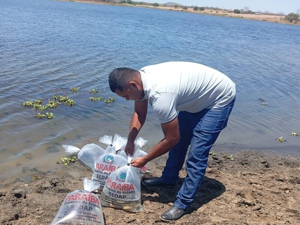 Prefeitura de Bom Jesus fortalece setor pesqueiro com distribuição de 50 mil alevinos em parceria com o Governo do Estado
