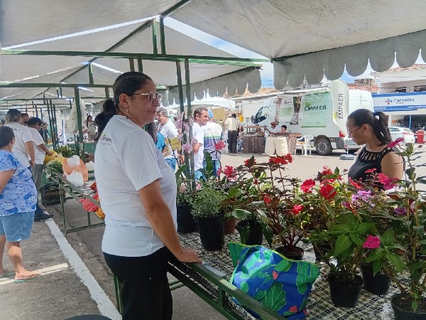 Expo da Agricultura Familiar mostra força do campo em Serraria
