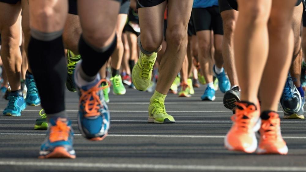 Prefeitura de Boa Vista apoia corrida solidária em prol dos animais de rua; evento será realizado em dezembro