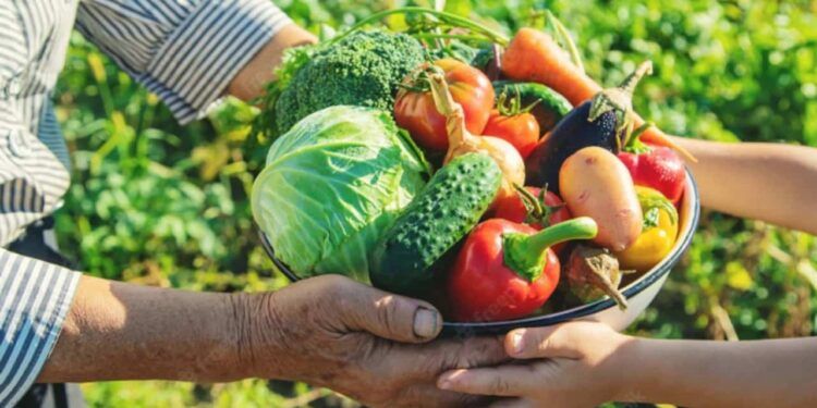 Famup alerta municípios sobre prazo para adesão ao Programa de Aquisição de Alimentos
